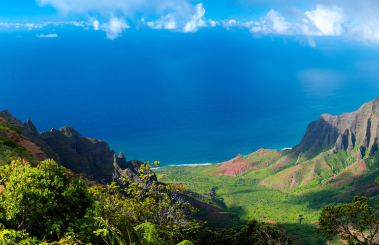 Beautiful Maui vista